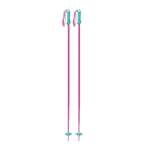 Custom Ski Poles