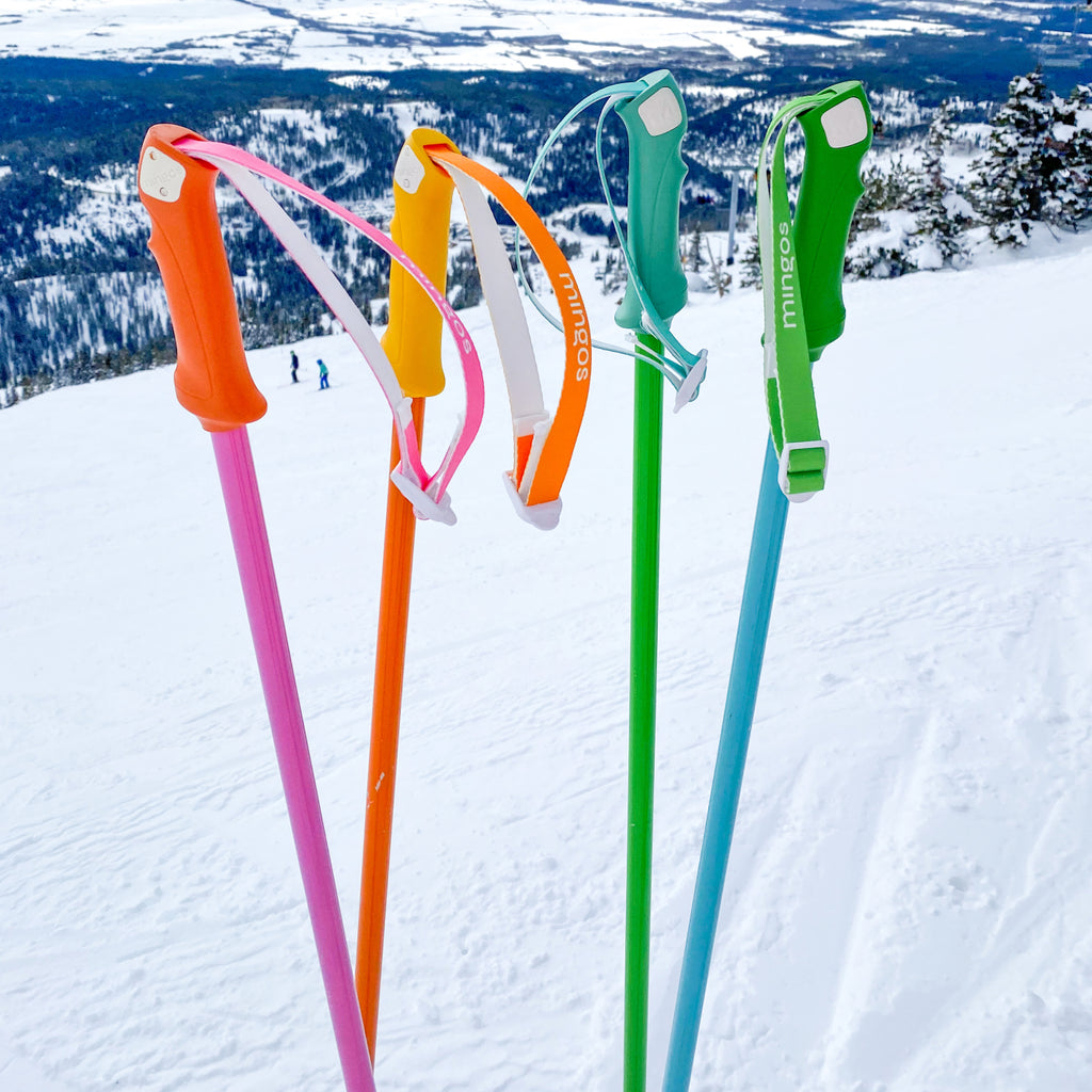 Easy Green Ski Poles