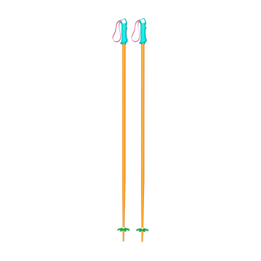 Custom Ski Poles - Customer's Product with price 99.00 ID i867VW5a9NGQU5HhiFpj-Vn7