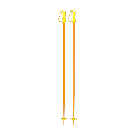 Custom Ski Poles