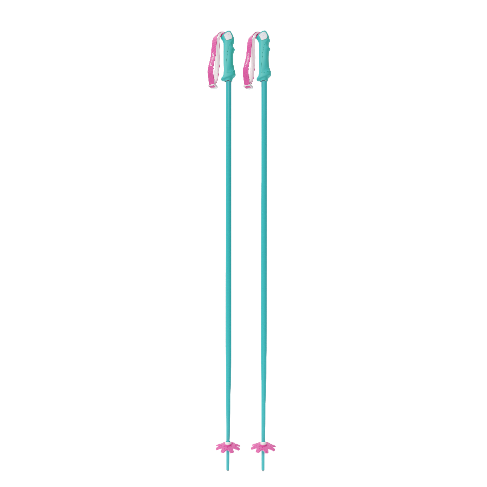 Custom Ski Poles