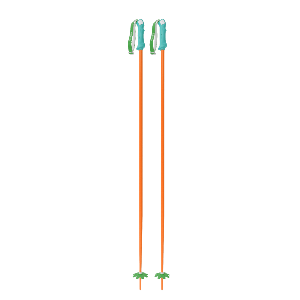 Custom Ski Poles
