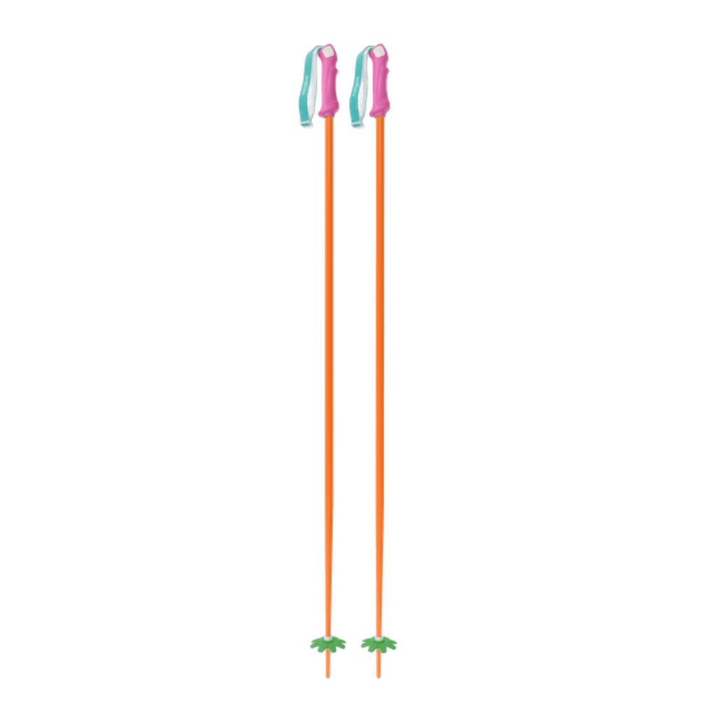 Custom Ski Poles