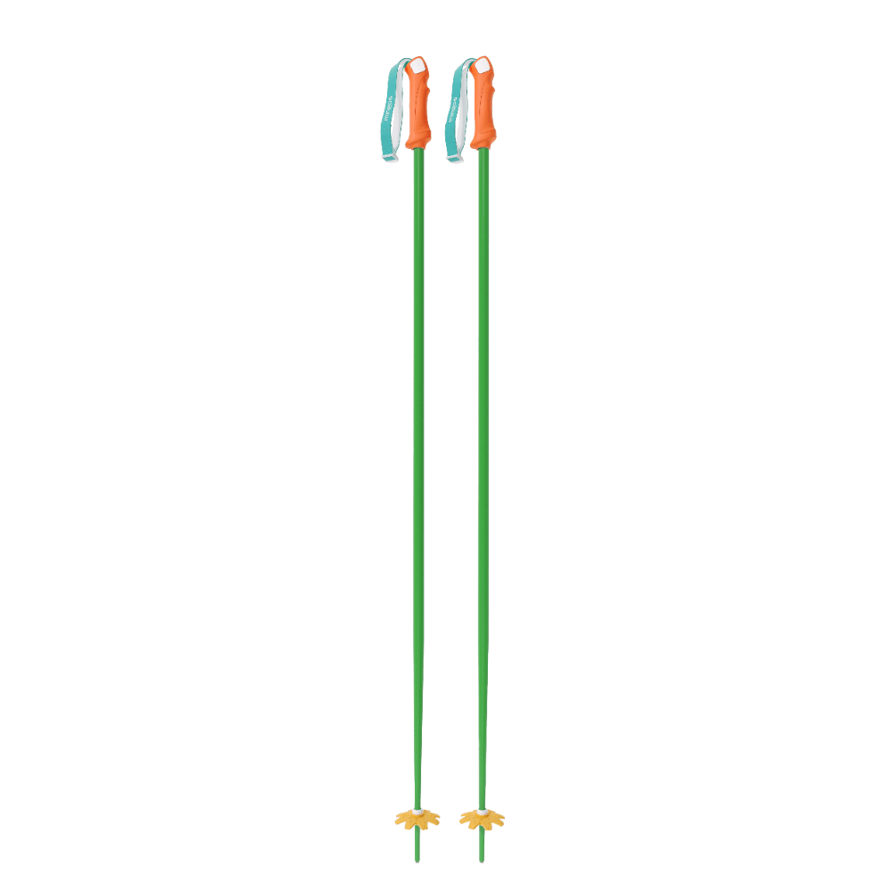 Custom Ski Poles