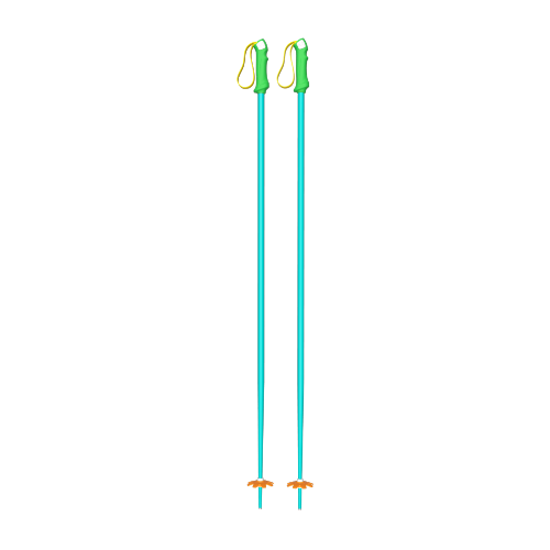 Custom Ski Poles