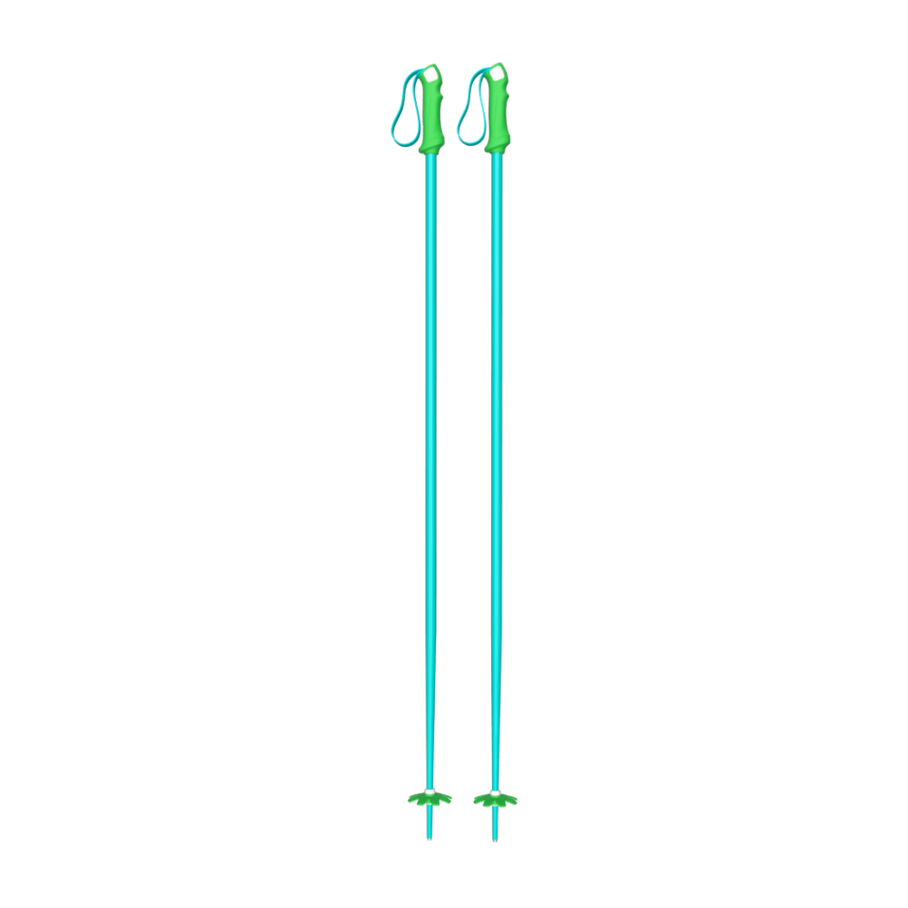 Custom Ski Poles