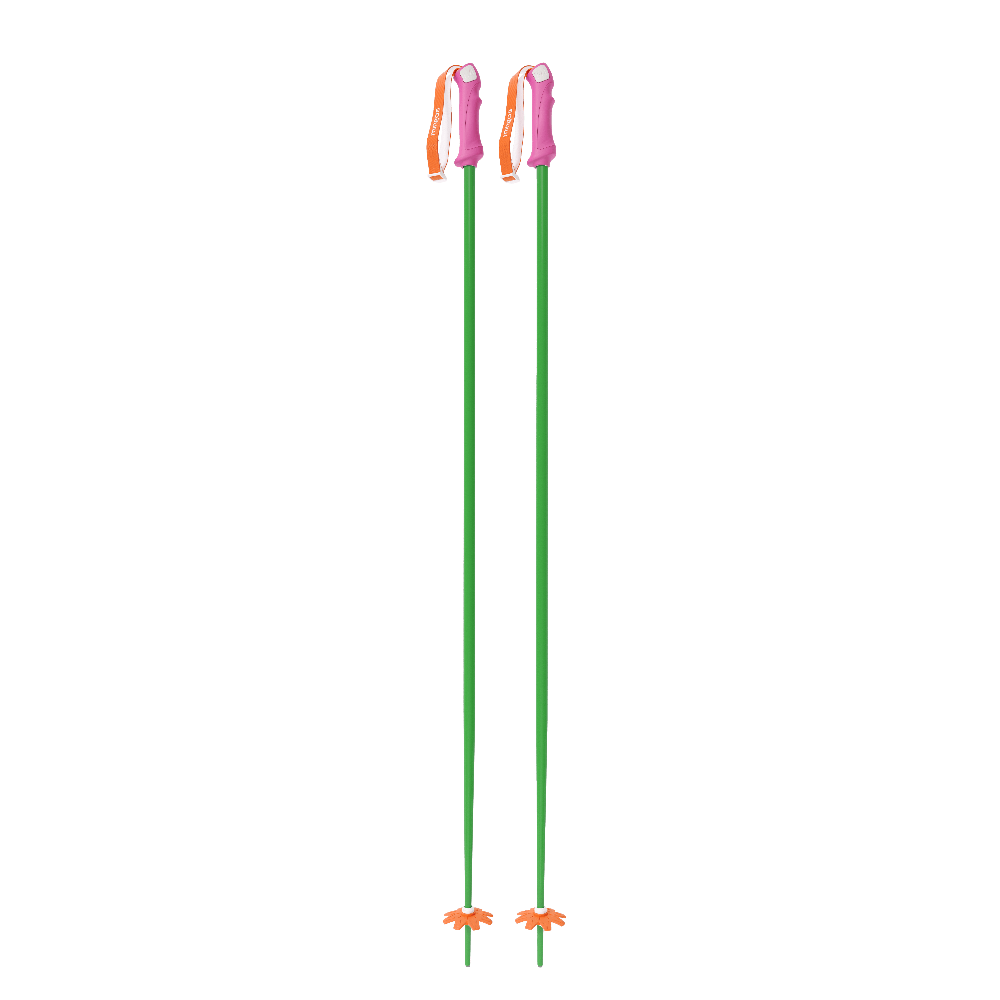 Custom Ski Poles
