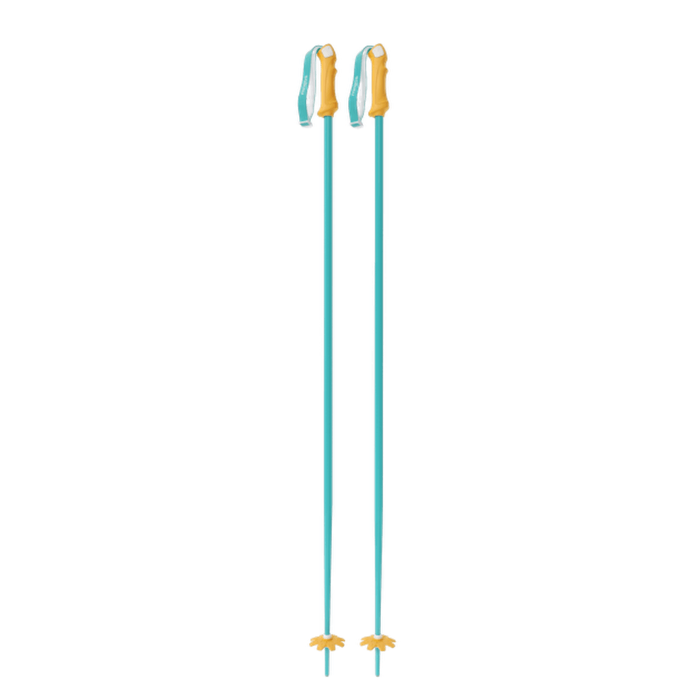 Custom Ski Poles