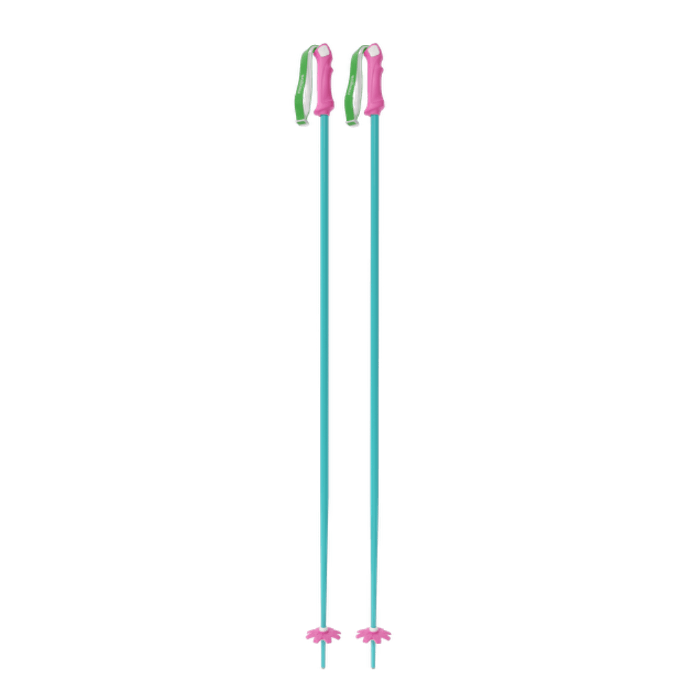 Custom Ski Poles