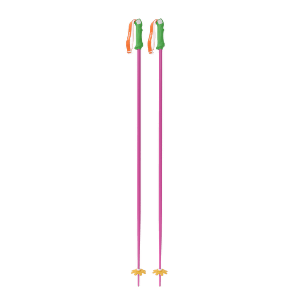 Custom Ski Poles