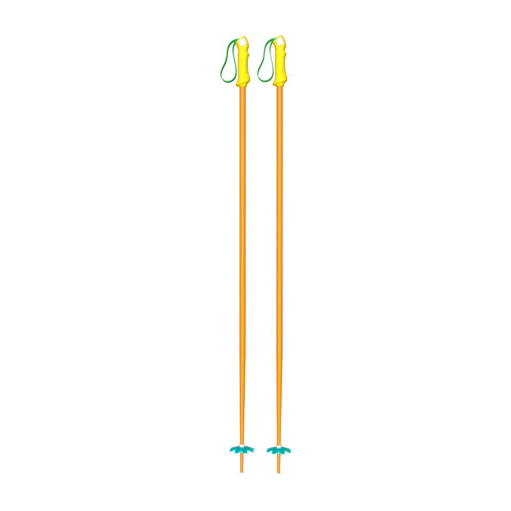 Custom Ski Poles