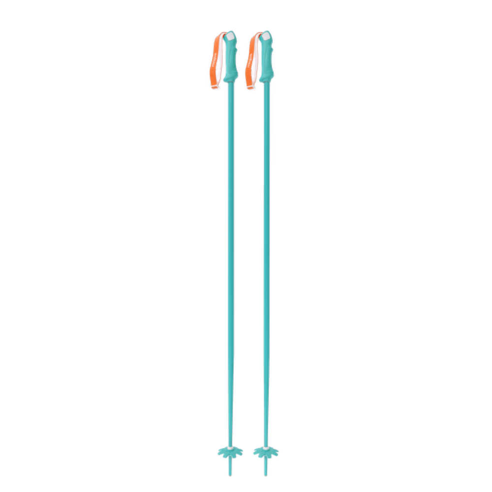 Custom Ski Poles