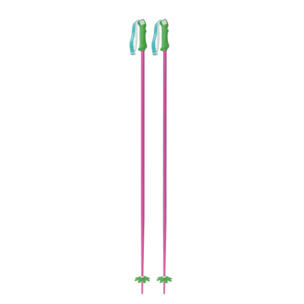 Custom Ski Poles