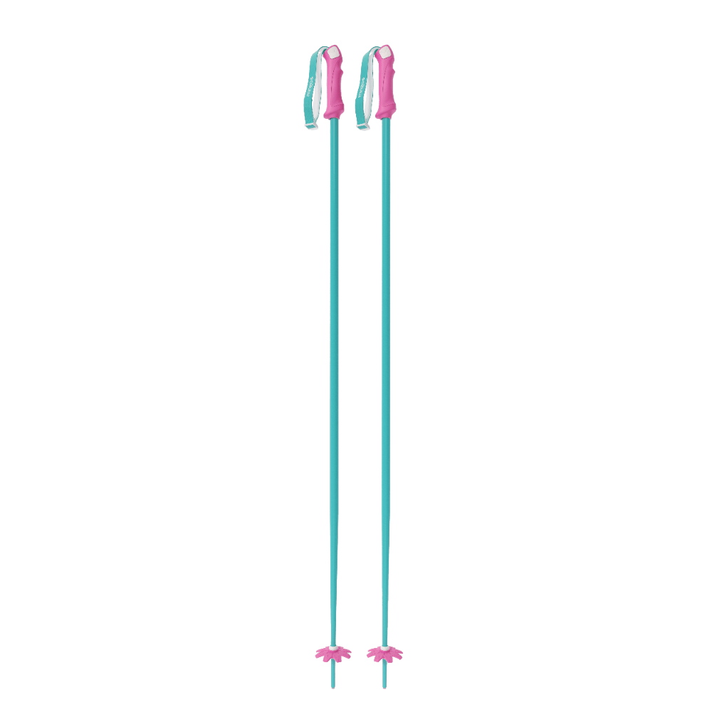 Custom Ski Poles