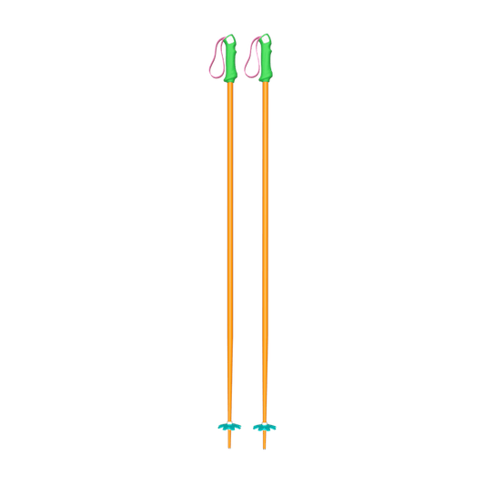 Custom Ski Poles