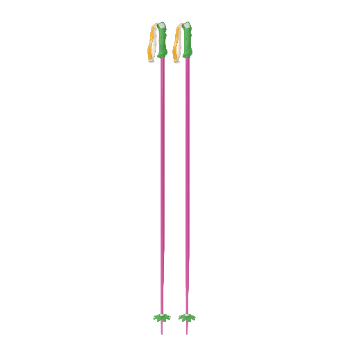 Custom Ski Poles