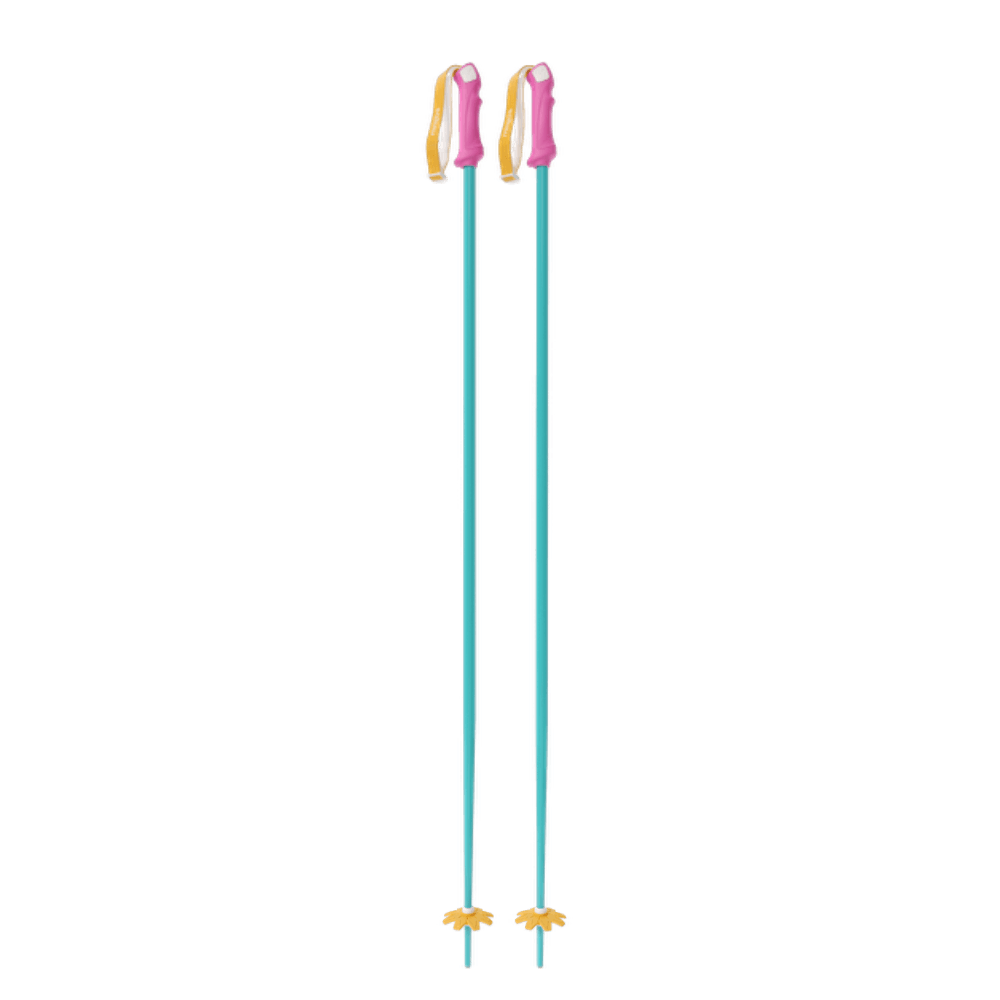Custom Ski Poles